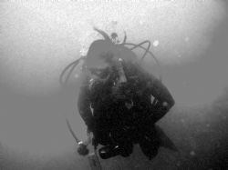Into the Deep, My Wife Wendy. Casino Point, Catalina. Tak... by Kevin Robert Panizza 